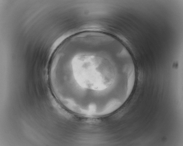 X0000113141466200910021428