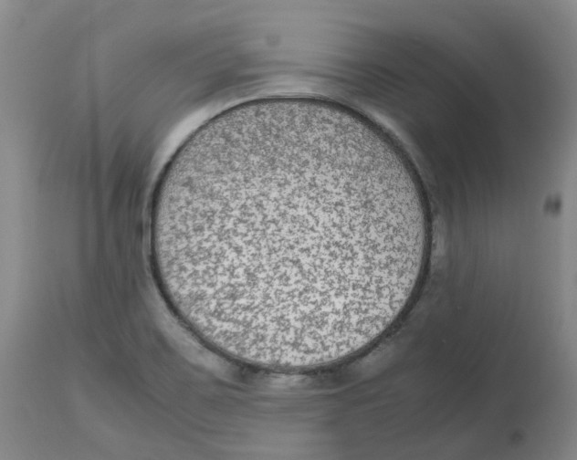 X0000113141467200910021428