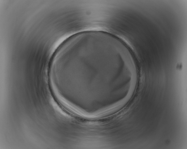 X0000113141468200910021428