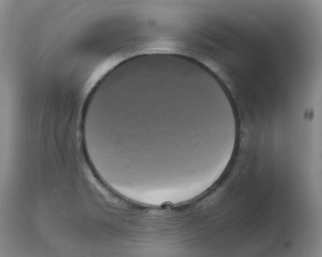 X0000113141469200910021428