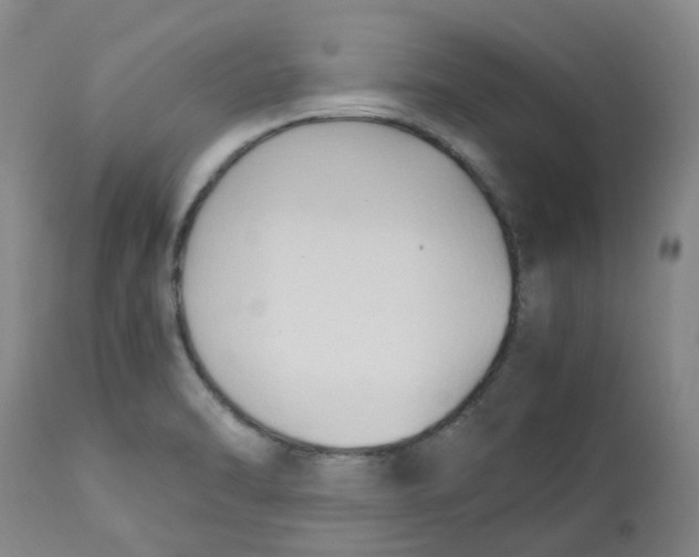 X0000113141470200910021428