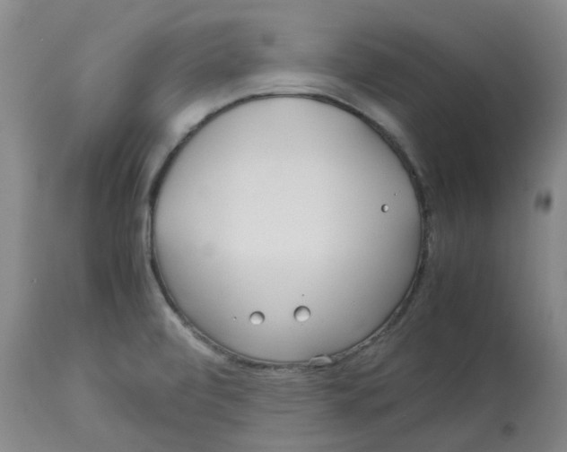 X0000113141472200910021428