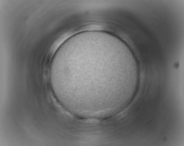 X0000113141473200910021428