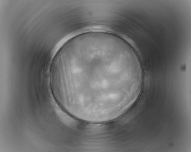 X0000113141474200910021428