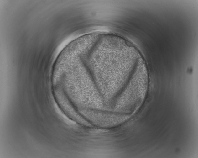 X0000113141475200910021428