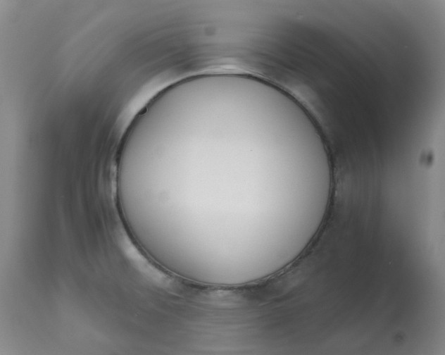 X0000113141476200910021428