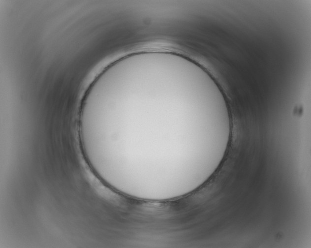 X0000113141478200910021428