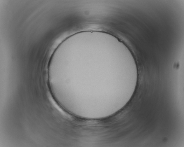 X0000113141479200910021428