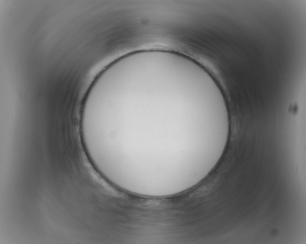 X0000113141480200910021428