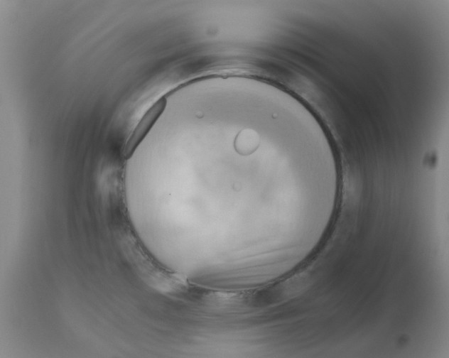 X0000113141481200910021428