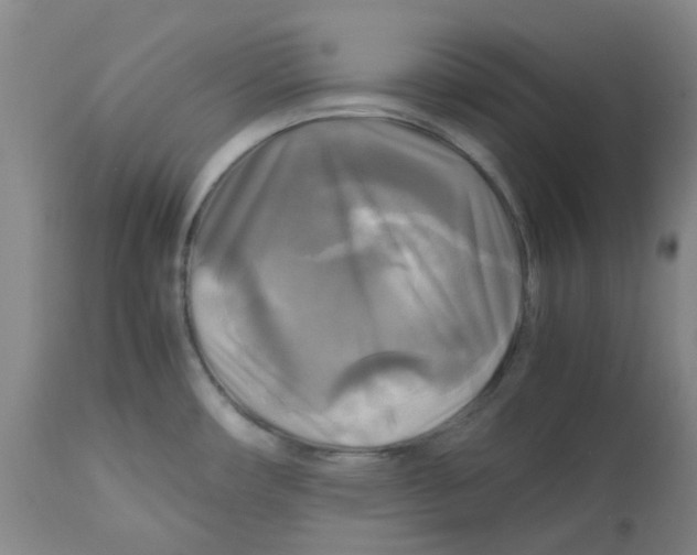 X0000113141482200910021428