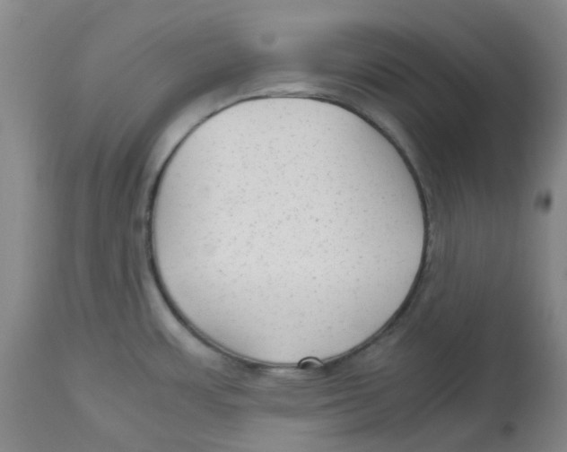 X0000113141483200910021428