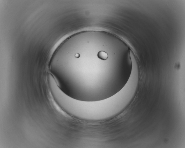 X0000113141484200910021428