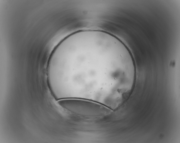 X0000113141485200910021428