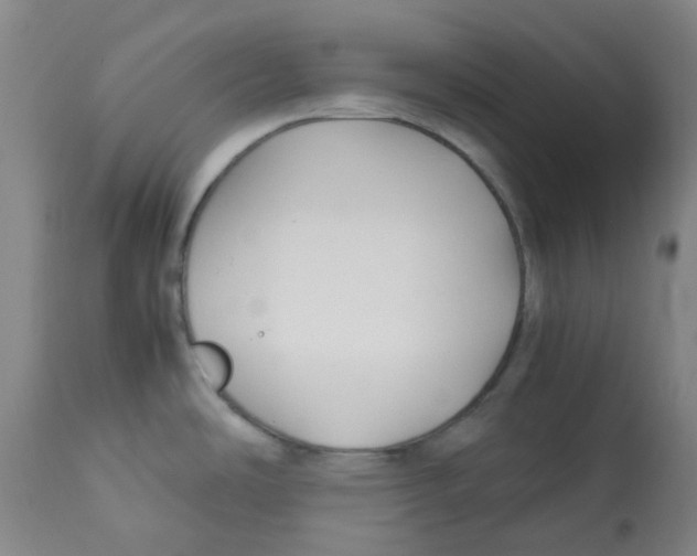 X0000113141486200910021428