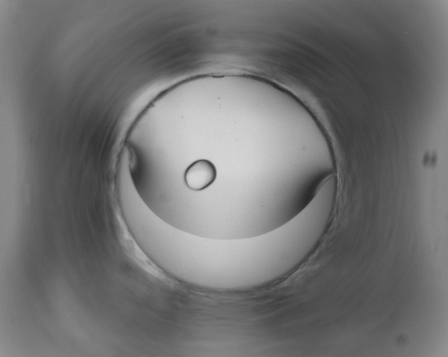 X0000113141488200910021428