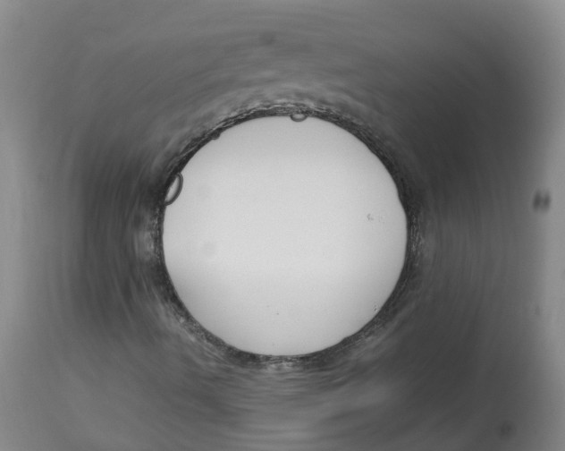 X0000113141490200910021427