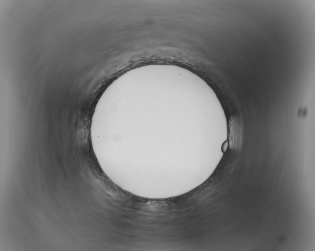 X0000113141491200910021427