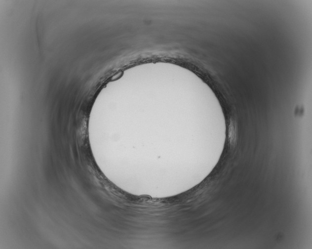 X0000113141492200910021427