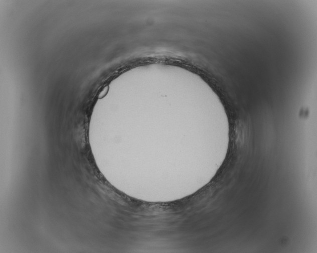 X0000113141493200910021427