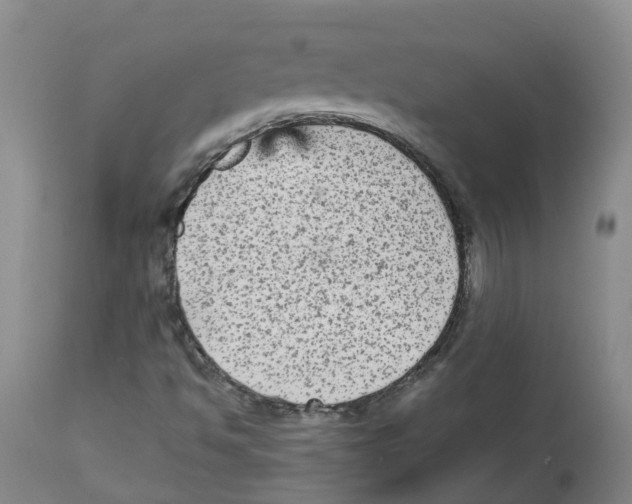 X0000113141494200910021427