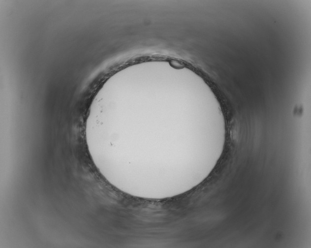 X0000113141495200910021427