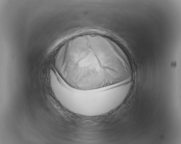 X0000113141496200910021427