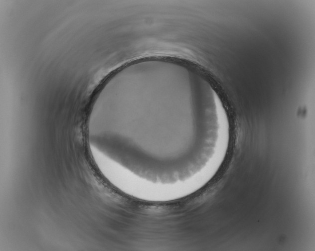 X0000113141497200910021428