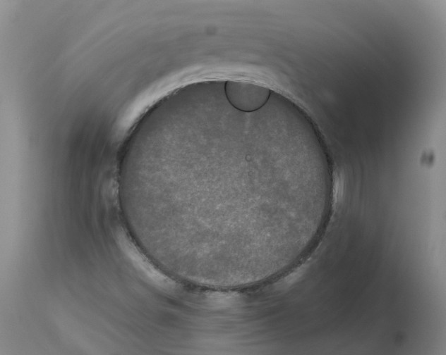 X0000113141498200910021428