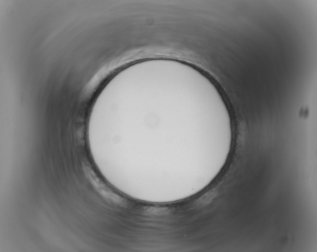 X0000113141499200910021428