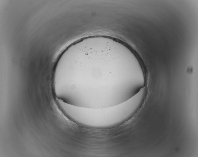 X0000113141500200910021428