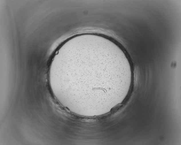 X0000113141501200910021428