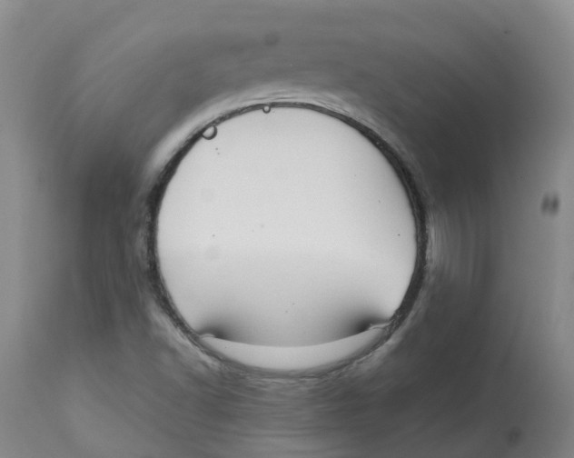 X0000113141502200910021428