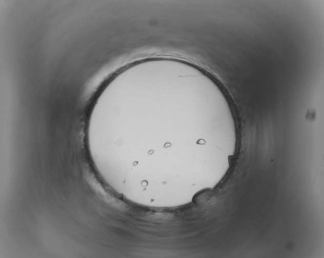 X0000113141503200910021428