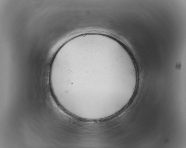 X0000113141504200910021428