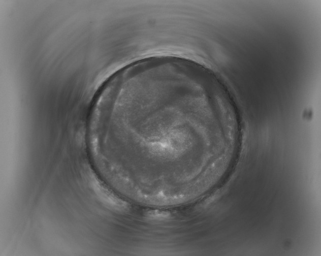 X0000113141505200910021428