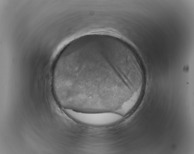 X0000113141506200910021428