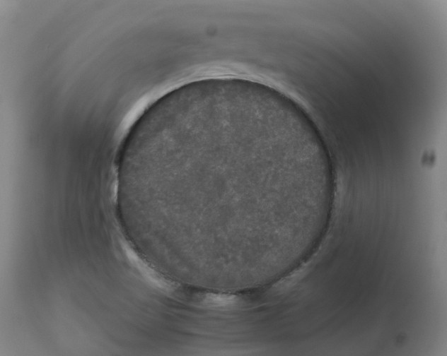 X0000113141509200910021428