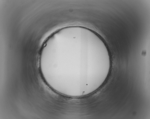 X0000113141510200910021428