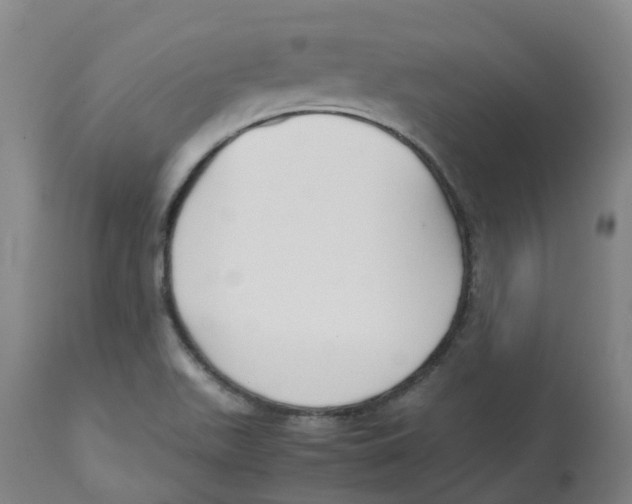 X0000113141511200910021428