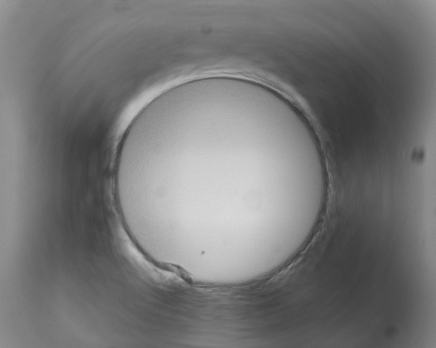 X0000113141512200910021428