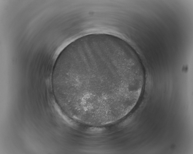 X0000113141513200910021428