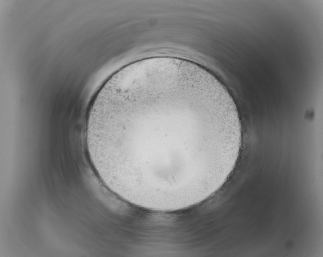 X0000113141514200910021428