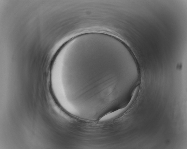 X0000113141515200910021428