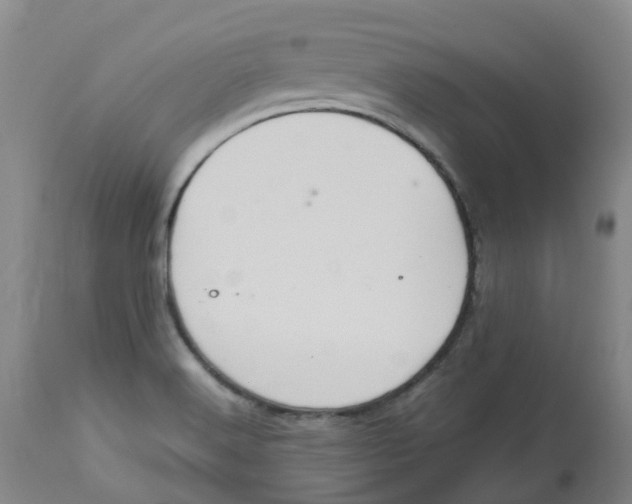 X0000113141516200910021428