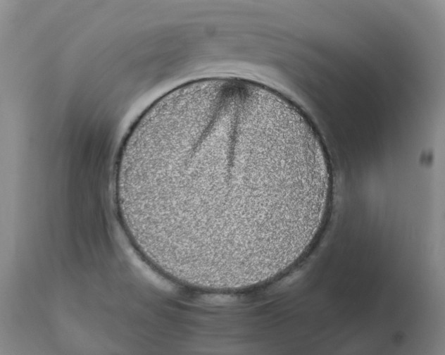 X0000113141517200910021428