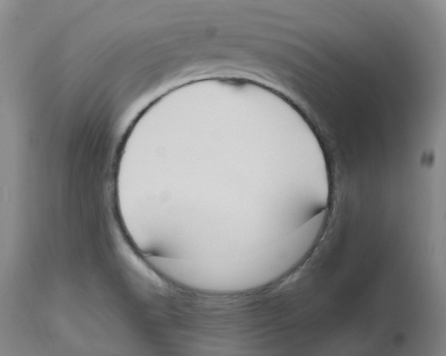 X0000113141518200910021428