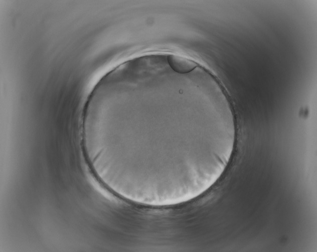 X0000113141519200910021428