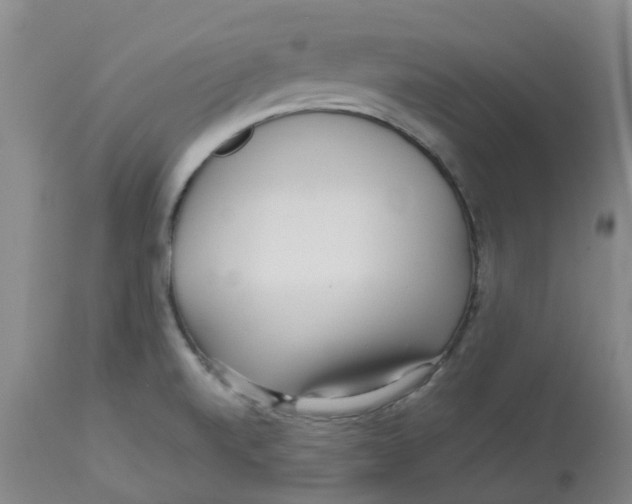 X0000113141520200910021428