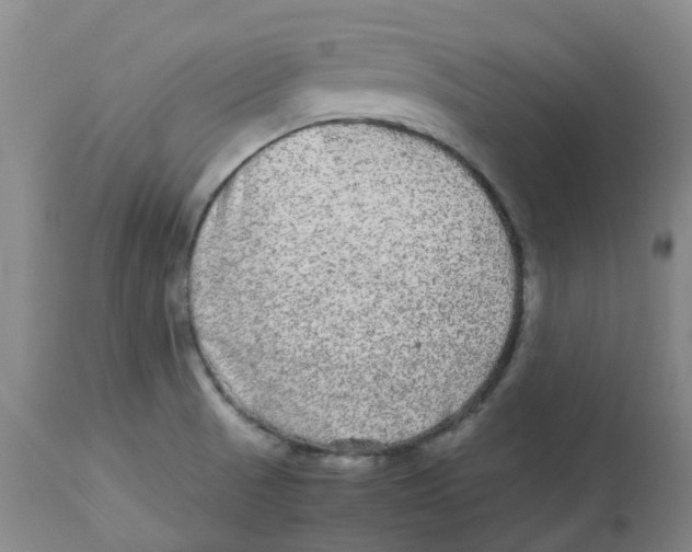 X0000113141521200910021428